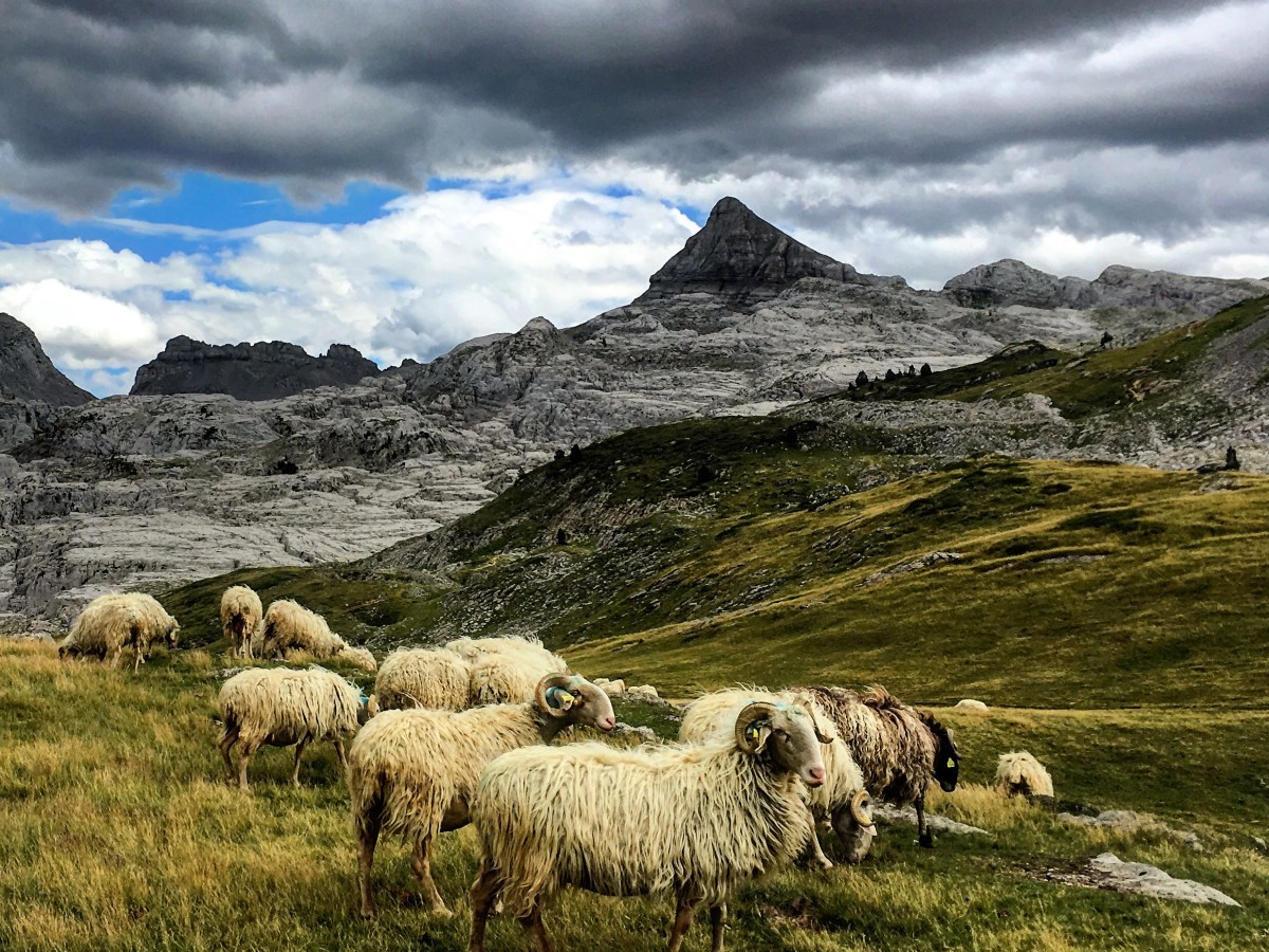 2020/ 15-19 agosto: Ruta de las&nbsp;Golondrinas