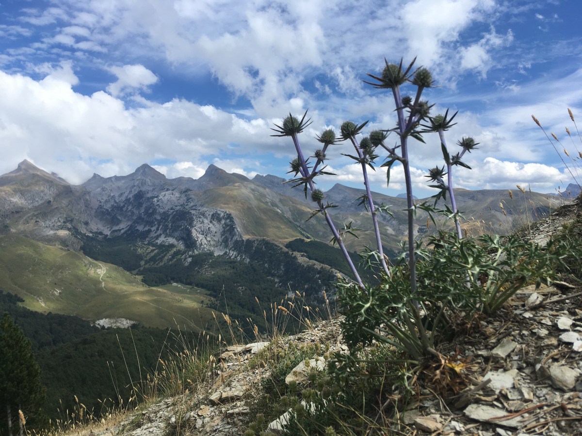 2021/ 26-30 julio: Ruta de las&nbsp;Golondrinas